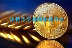 比特币交易网址是什么(比特币交易网址大全)