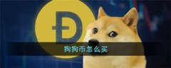 DOGE币哪里买(DOGE币如何购买)