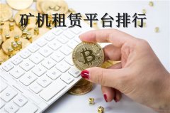 矿机租赁平台排行(矿机租赁平台哪个好)