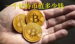 一个比特币值多少钱(一个比特币最高峰值多少人民币)