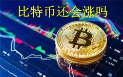 比特币还会涨吗(比特币还会涨多少)