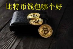 比特币钱包哪个好(比特币钱包分类)