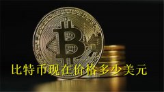 比特币现在价格多少美元(比特币美元实时行情)