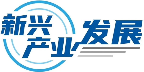 poop币是什么