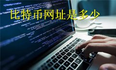比特币网址是多少(比特币网址使用教程)