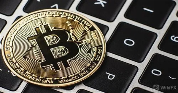 比特儿交易所怎么样