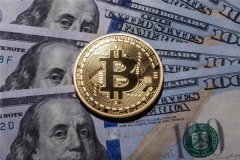 dollar是什么币(dollar币的价值分析)