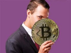 比特币骗局分析(如何避免比特币骗局的发生)