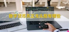 数字货币钱包龙头股(数字货币龙头公司排名)