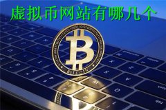 虚拟币网站有哪几个(虚拟币网站排行)