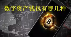 数字资产钱包有哪几种(数字资产钱包排名)