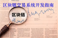 区块链交易系统开发指南(区块链交易系统开发流程)