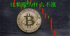 比特股为什么不涨(比特股投资价值分析)