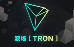 波场币前景怎么样(波场币未来潜力)