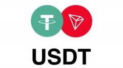 USDT的下载地址(USDT钱包怎么用)