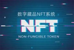 NFT数字藏品怎么玩(nft和数字藏品的区别)