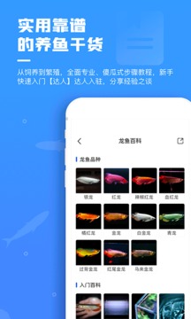 鲲天下最新app下载