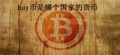 buy币是哪个国家的货币(buy币上线了哪些交易所)