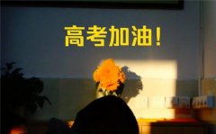 2023高考作文题目是什么(全国2023高考作文题目汇总)
