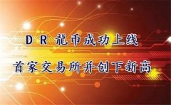 龙币交易所怎么充值(龙币交易所支持什么币)