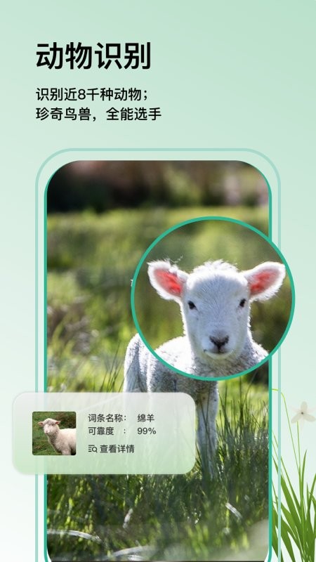 万物识图官方免费下载
