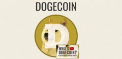 DOGE币在哪个交易所可以买(购买DOGE币的平台)