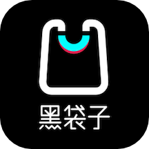 黑袋子手机版下载(黑袋子安卓版下载)