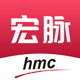 宏脉医生图