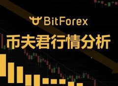 BitForex交易所怎么样(BitForex交易所官网介绍)