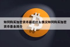 加密货币用什么方式购买最好(数字加密货币如何购买)