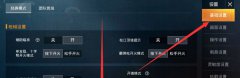 和平精英怎么隐藏个人战绩(和平精英如何不让其他人查看个人战绩)