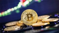 比特币最大交易平台(全球虚拟货币交易平台排名)