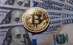 比特币下载排行14家对比(比特币交易平台排名)