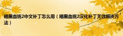 暗黑血统2中文补丁(暗黑血统2中文补丁如何使用)