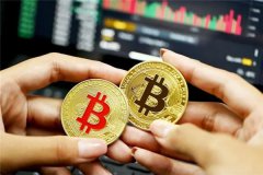币网交易所排名第几(币网交易所全球排名介绍)
