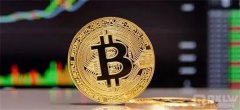 nex币在哪交易获得(nex交易所苹果账号注册教程)