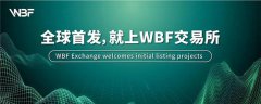 瓦特交易所前景怎么样(瓦特交易所未来发展趋势)