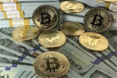 比特儿交易所忘记交易密码怎么办(比特儿密码找回方法)