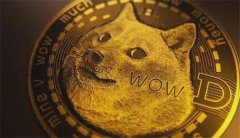 狗狗币在哪里买比较正规(选择可信赖交易平台的重要性)