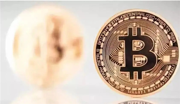 币赢交易所是哪个国家的
