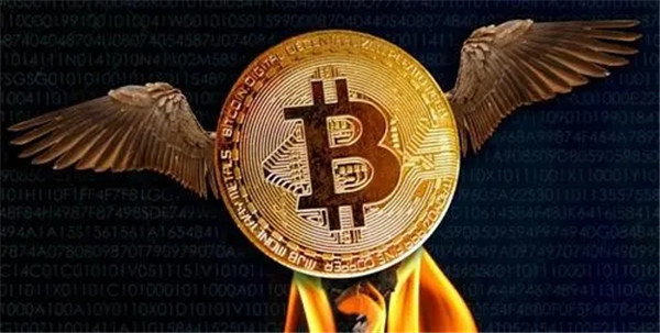 币赢交易所安卓版怎么下载