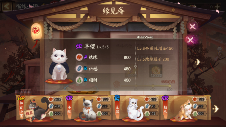 阴阳师喵缘小街怎么选择猫咪