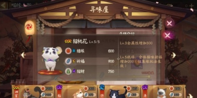 阴阳师喵缘小街怎么选择猫咪