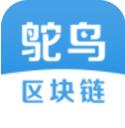 鸵鸟区块链app下载(鸵鸟区块链安卓下载)
