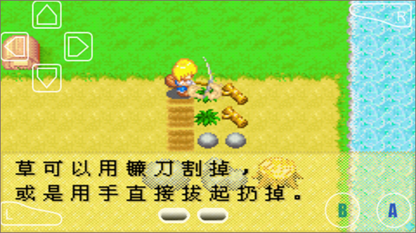 牧场物语女孩版下载汉化版