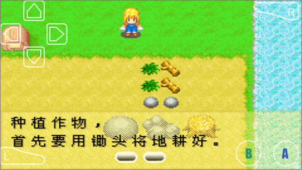 牧场物语女孩版下载汉化版