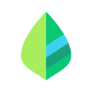 薄荷记账手机版app(薄荷记账2023最新版)
