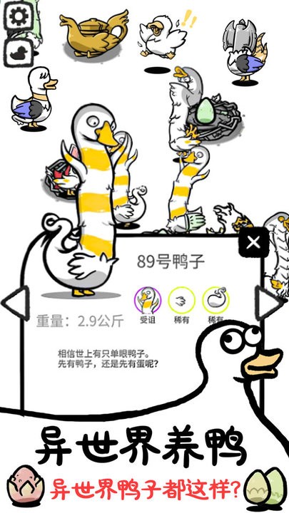神奇的鸭子最新版下载
