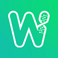 whale交易所官网下载图