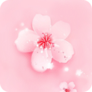 桃花直播app下载手机版(桃花直播app正版下载)